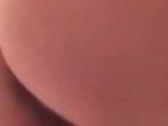 tasha 6