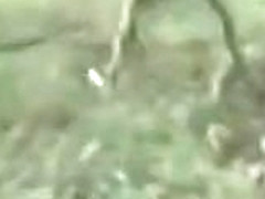 Outdoor Sex.mp4