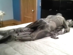 skull and bones morphsuit humps and android