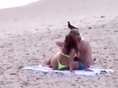 Big Booty Beach Makeout