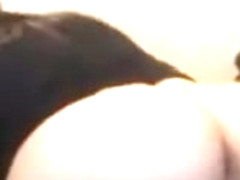 Amateur - Hi Mom - Caught up an Old Friend of Yours