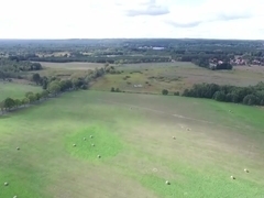 Blowjob after photoshooting