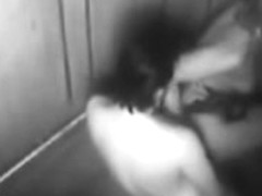 Spy Web Camera In The Elevator Concupiscent Juvenile Pair Caught Fucking