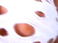 AYANAkyoko 7 -assortment