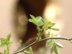 Exotic retro sex clip from the Golden Epoch