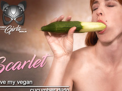 I Love My Vegan Cucumber Dildo - Food Fetish Solo
