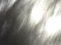 The Chocolate Gummybare sucking my dick