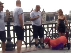 Pr0xy Pa1ge Public Slave Whore 1