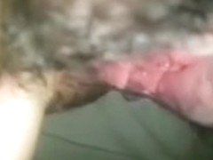 Sa chatte poilue bien lechee