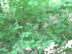 Blowjob and facial outdoor for german milf