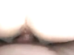 Preacher of the holy organ paige