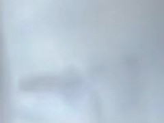 Blackfox in privatike