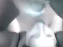 Joe The Plumber Wife Mj