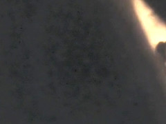 Bbw Ebony Sucking BBC