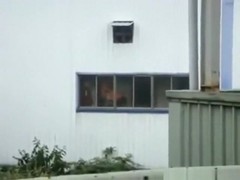Voyeur captures a couple fucking in the factory, instead of working !!!
