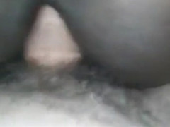 Chocolate Pussy Plowing