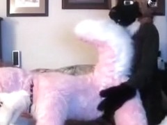 Fabulous Webcam video