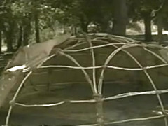 Amazing vintage sex scene from the Golden Age