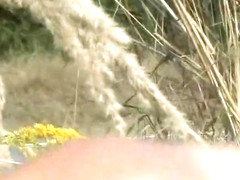 Hinter der Landstrasse Schwanz leer gesaugt