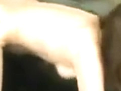 Exotic Amateur record with Asian, Cunnilingus scenes