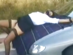 Nasty brunette in public blowjob