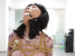 chinese bondage shibari