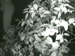 Caught blonde girl pissing on hidden camera by the bushes