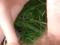 Coup de queue et gémissement de plaisir dans les hautes herbes, l'endroit ne compte pas pour s'en.