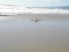 The girls are not joking about their intentions