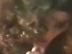 Lanna Foxxx King Savage