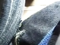 encoxada really hot ass groped in bus