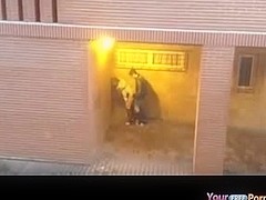 Voyeur Tapes Legal Age Teenagers Fucking In Public