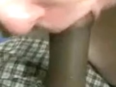 (DirtyCook) Interracial BJ