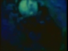 Gay beach sex in tropics compilation