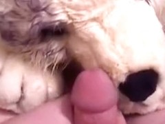 Large Huskie 03 - piddle cum