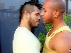 NextdoorEbony Video: The Gardener's Touch