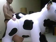 naughty cow part 1