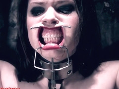 Bound Blonde Brunette Toyed