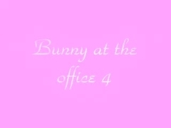 Bunny at the office