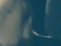 College students produce frathouse fuckfest