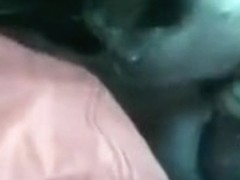 That Babe follwed me to the computer