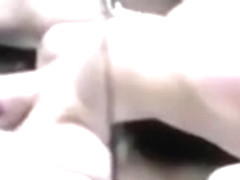 Lynn johnson - penthouse pets