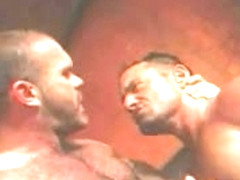 Sensual hunk does blowjob to his naughty lover