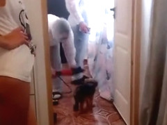 Provocate Technical Guy