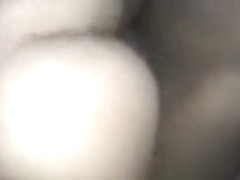 bounce on the dick before everyone wakes up!