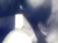 Harpsichord Drama Threesome