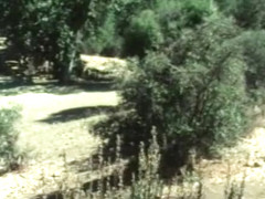 Exotic classic porn scene from the Golden Age