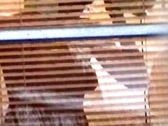 Gadget spied through blinds