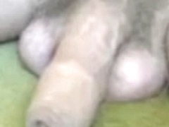 Foreskin admiration