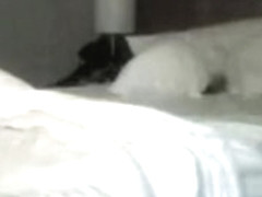 Best Amateur video with Doggy Style, Voyeur scenes